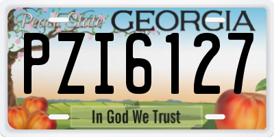 GA license plate PZI6127