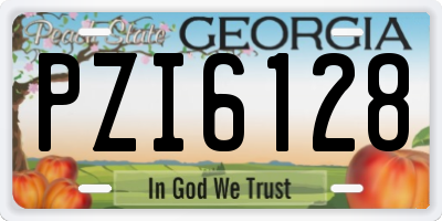 GA license plate PZI6128