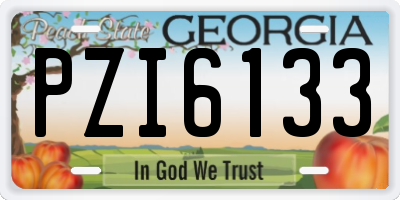 GA license plate PZI6133