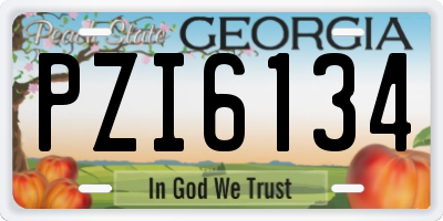 GA license plate PZI6134