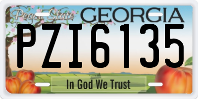 GA license plate PZI6135
