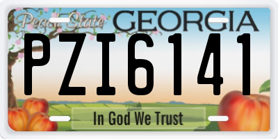 GA license plate PZI6141