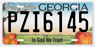 GA license plate PZI6145