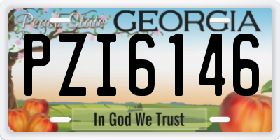 GA license plate PZI6146