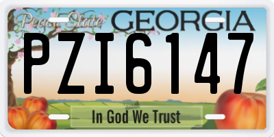 GA license plate PZI6147