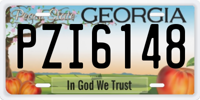 GA license plate PZI6148