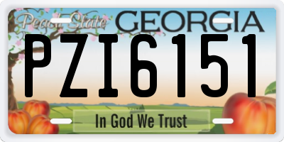 GA license plate PZI6151