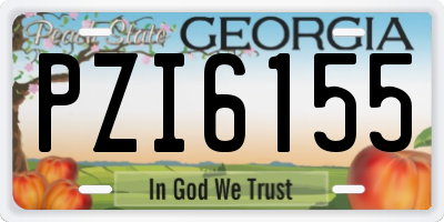 GA license plate PZI6155