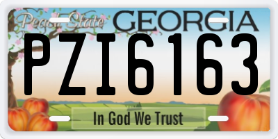 GA license plate PZI6163