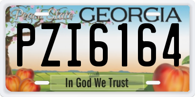 GA license plate PZI6164