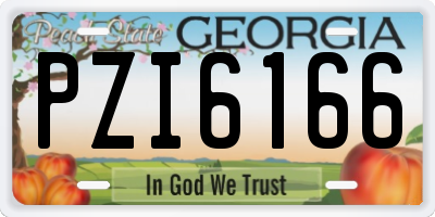 GA license plate PZI6166