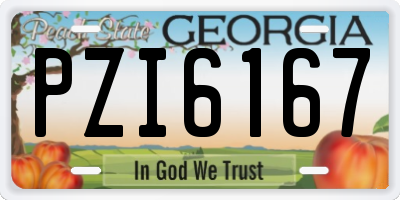GA license plate PZI6167