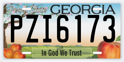 GA license plate PZI6173