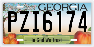 GA license plate PZI6174