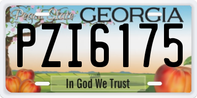 GA license plate PZI6175
