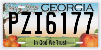 GA license plate PZI6177