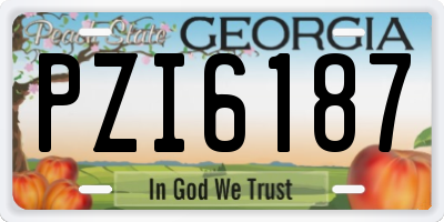 GA license plate PZI6187