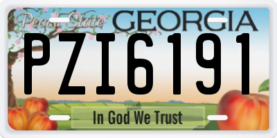 GA license plate PZI6191