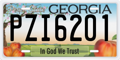 GA license plate PZI6201