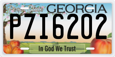 GA license plate PZI6202