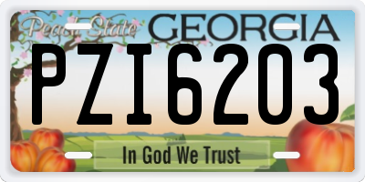 GA license plate PZI6203