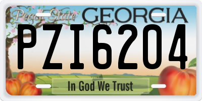GA license plate PZI6204