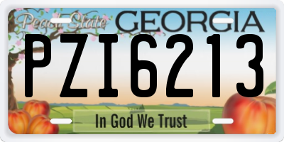 GA license plate PZI6213