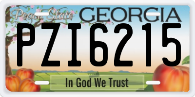 GA license plate PZI6215