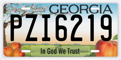 GA license plate PZI6219