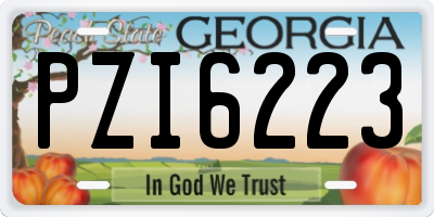 GA license plate PZI6223