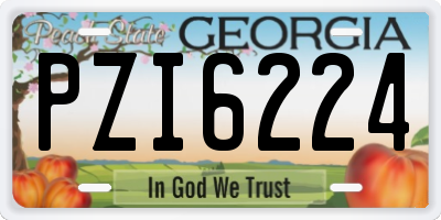 GA license plate PZI6224