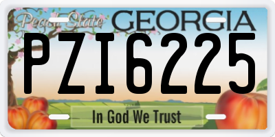GA license plate PZI6225