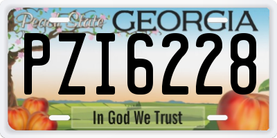 GA license plate PZI6228