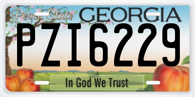 GA license plate PZI6229