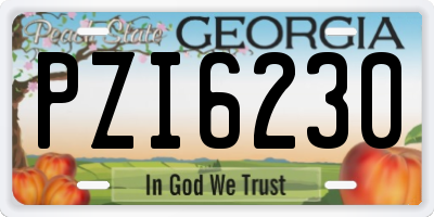 GA license plate PZI6230