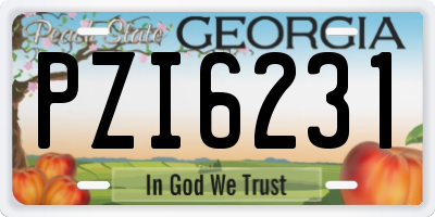 GA license plate PZI6231