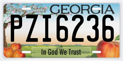 GA license plate PZI6236
