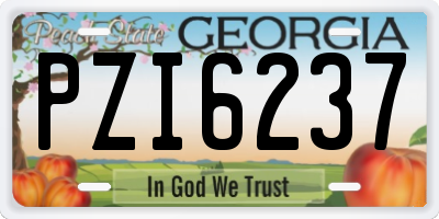 GA license plate PZI6237