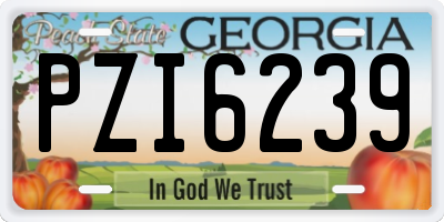 GA license plate PZI6239