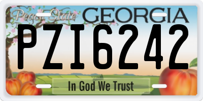 GA license plate PZI6242
