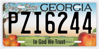 GA license plate PZI6244