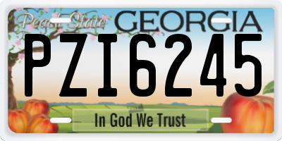 GA license plate PZI6245