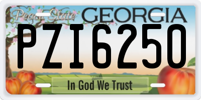 GA license plate PZI6250