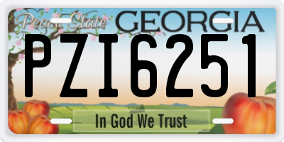GA license plate PZI6251