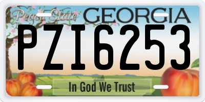 GA license plate PZI6253