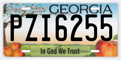 GA license plate PZI6255