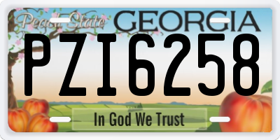 GA license plate PZI6258