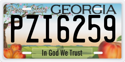 GA license plate PZI6259