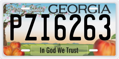 GA license plate PZI6263