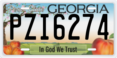 GA license plate PZI6274